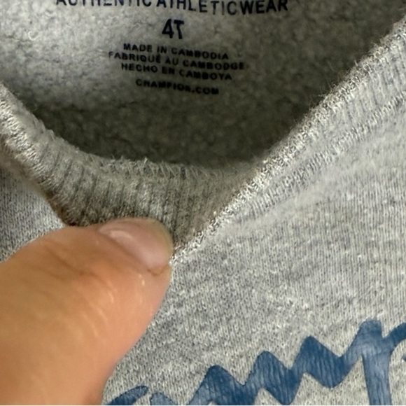 Champion Heather Gray Crew Neck Sweater with Logo - Picture 3 of 3